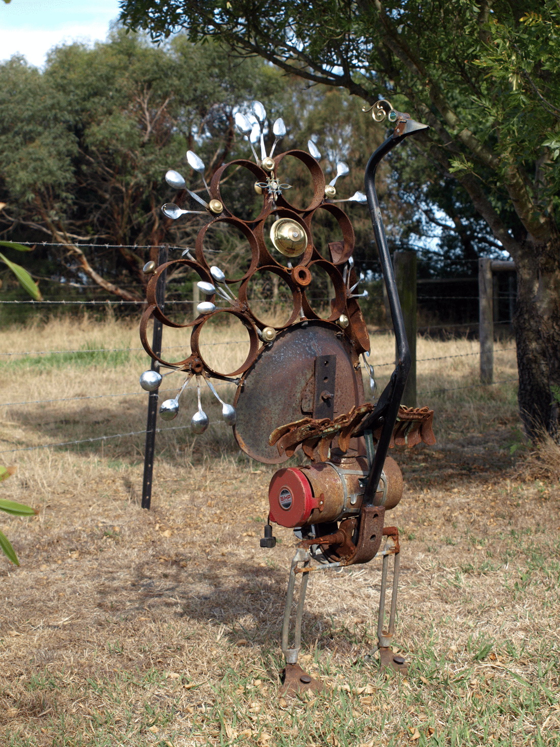 Peacock bling - Bob Hickman